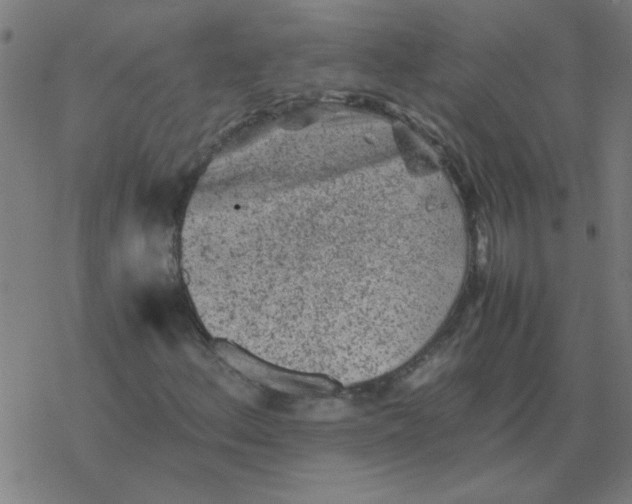 X0000077391156200611101747