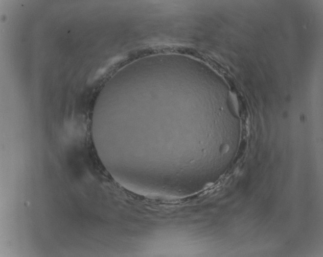 X0000077391157200611101747