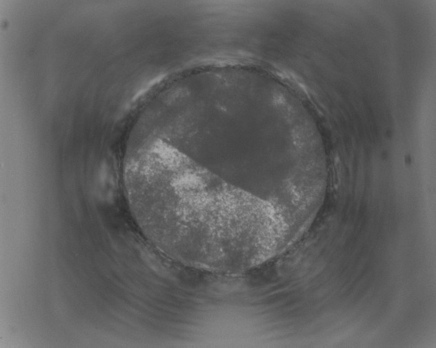 X0000077391158200611101747