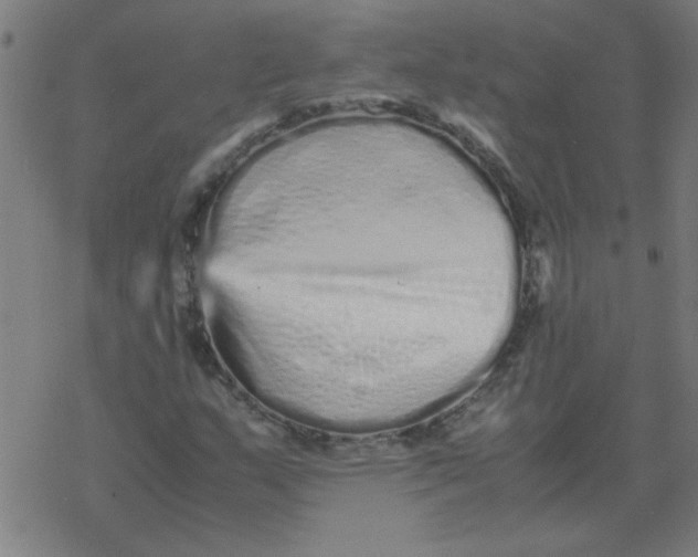 X0000077391159200611101747