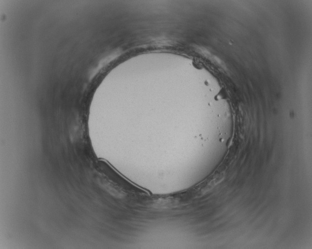 X0000077391160200611101747