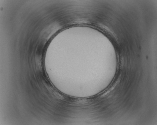 X0000077391162200611101747