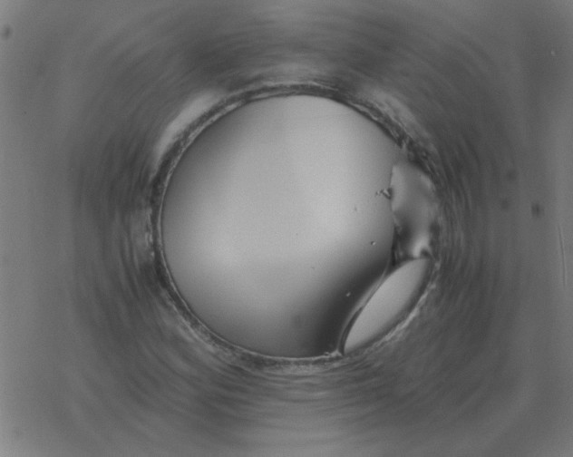 X0000077391164200611101747