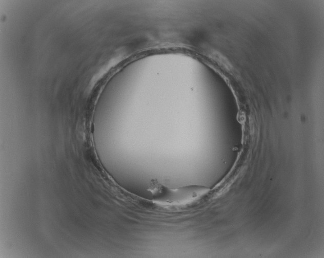 X0000077391165200611101747