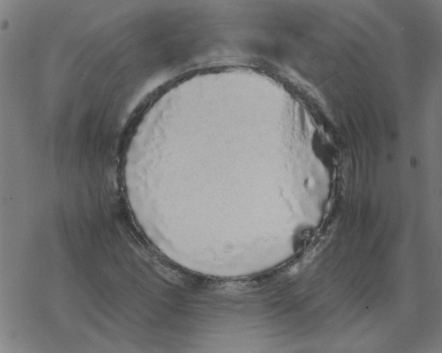 X0000077391166200611101747