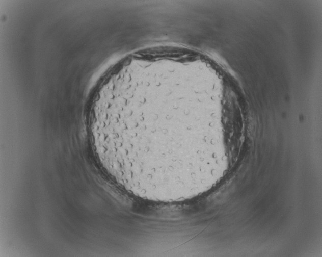 X0000077391167200611101747