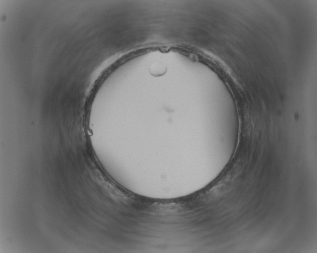 X0000077391168200611101747