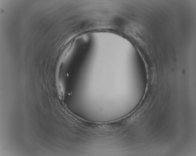 X0000077391169200611101747