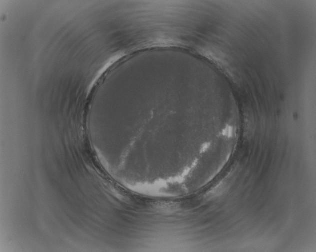 X0000077391170200611101747