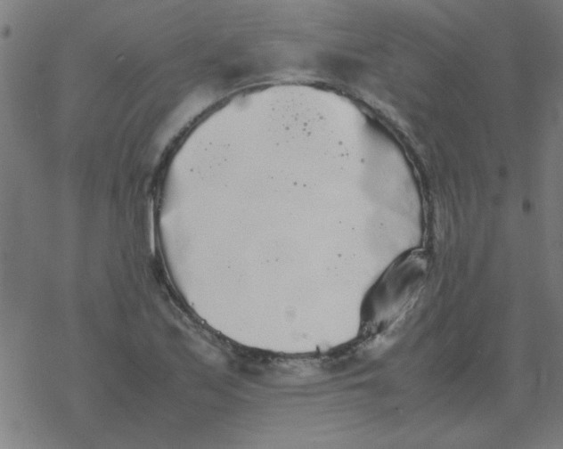 X0000077391171200611101747