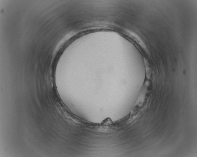 X0000077391172200611101747