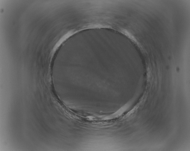 X0000077391173200611101747