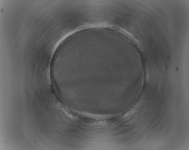 X0000077391174200611101747