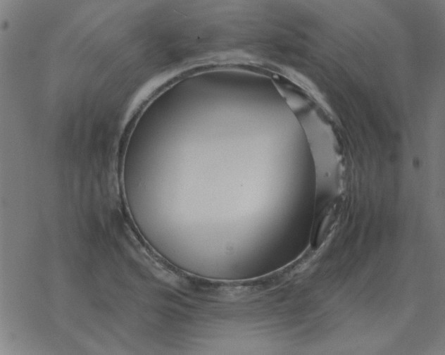 X0000077391176200611101747