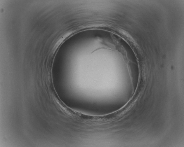 X0000077391177200611101747