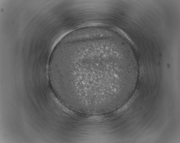 X0000077391178200611101747