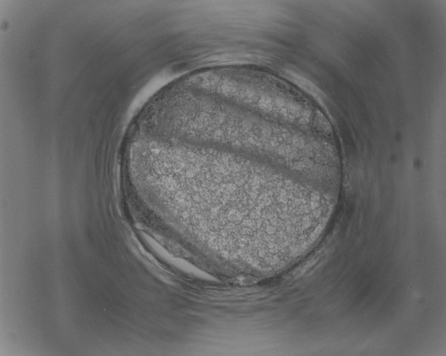 X0000077391179200611101747