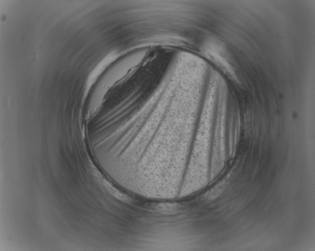 X0000077391180200611101747