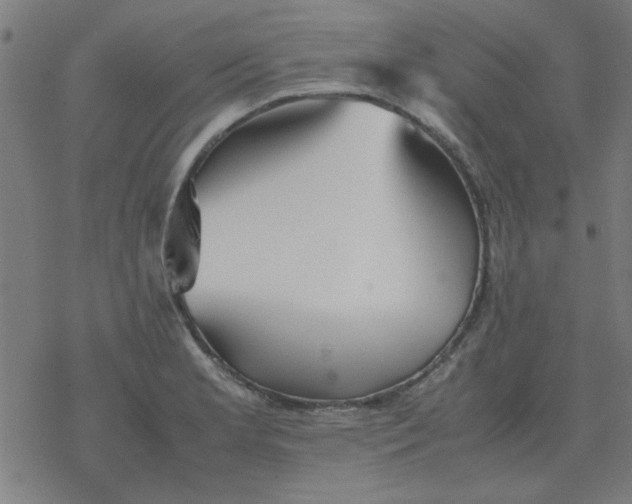 X0000077391181200611101747