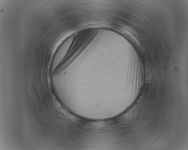 X0000077391182200611101747