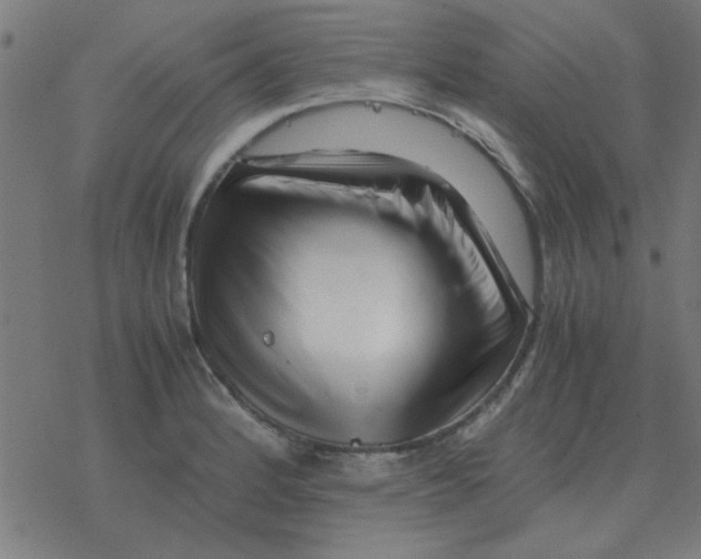 X0000077391184200611101747