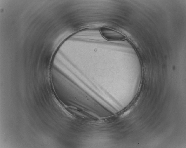 X0000077391186200611101747