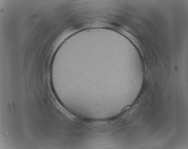 X0000077391187200611101747