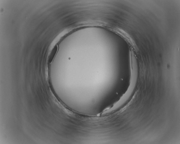 X0000077391188200611101747