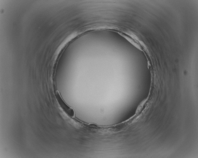 X0000077391189200611101747