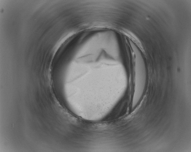 X0000077391190200611101747