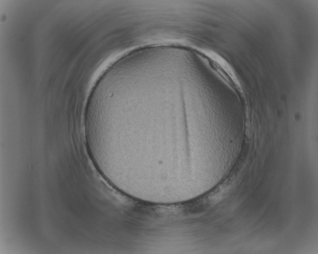 X0000077391191200611101747