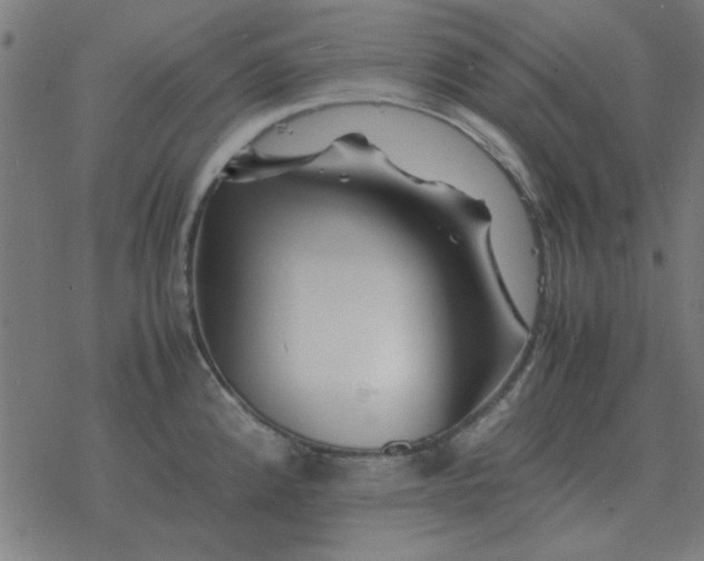 X0000077391192200611101747