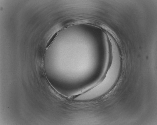 X0000077391193200611101747