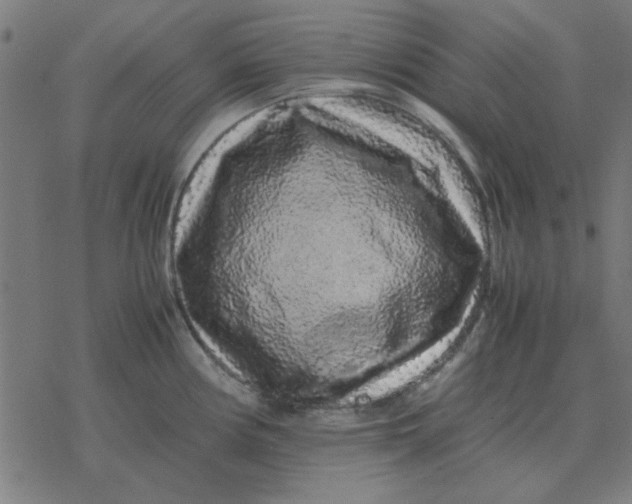 X0000077391194200611101747