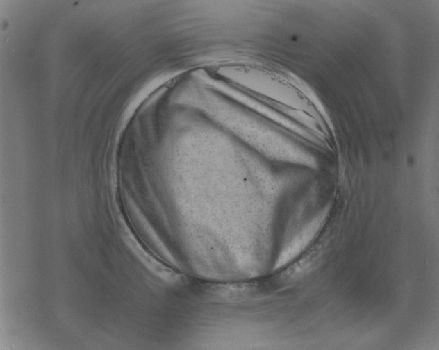 X0000077391195200611101746