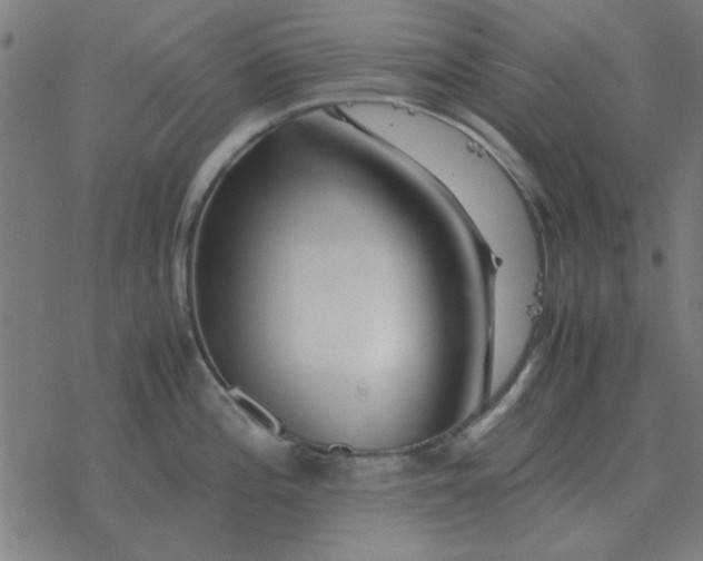 X0000077391196200611101746