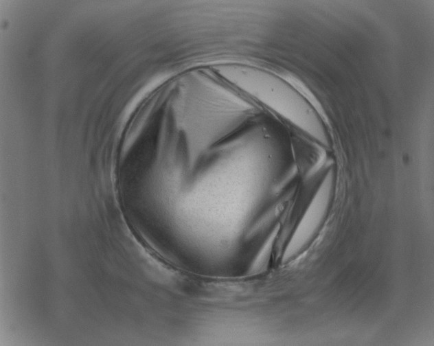 X0000077391197200611101746