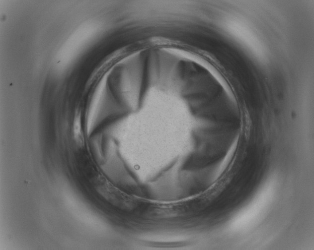 X0000077391198200611101746