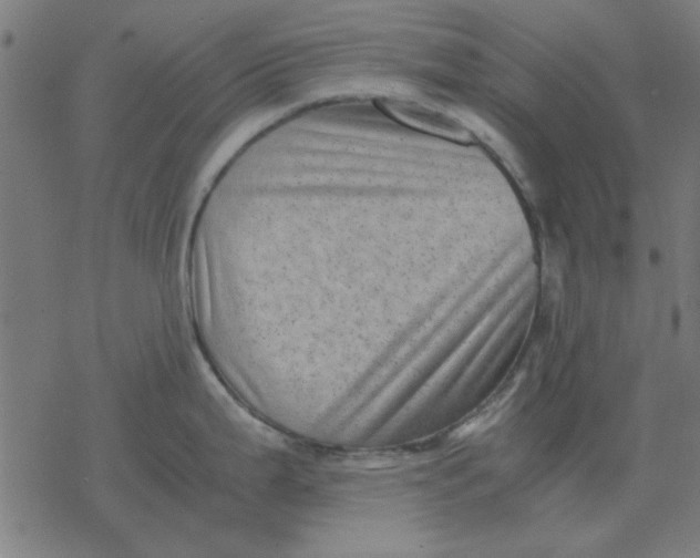 X0000077391199200611101746