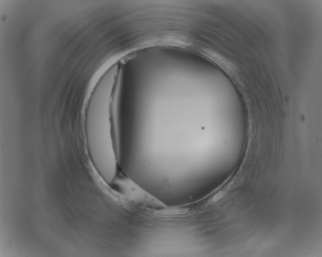 X0000077391200200611101746