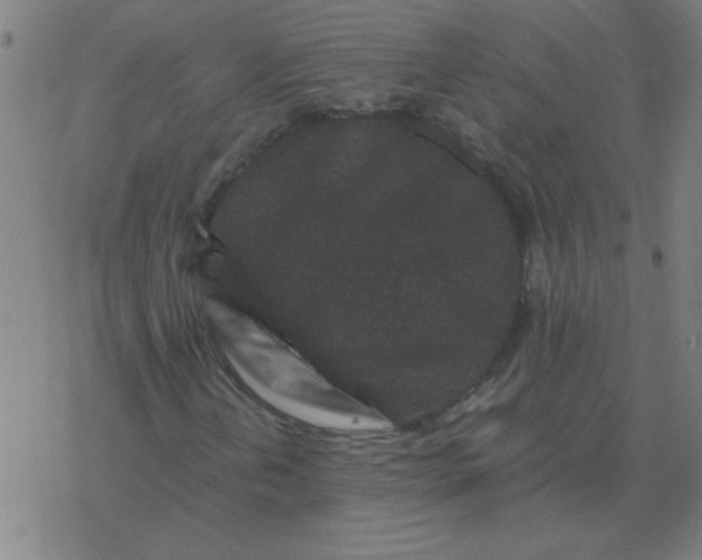 X0000077391202200611101746