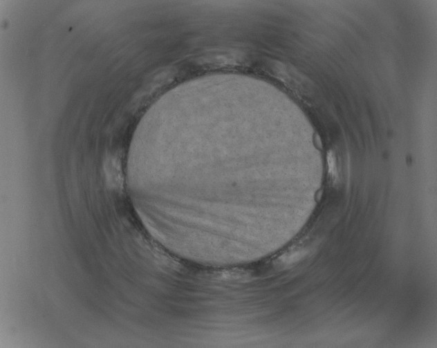 X0000077391203200611101746