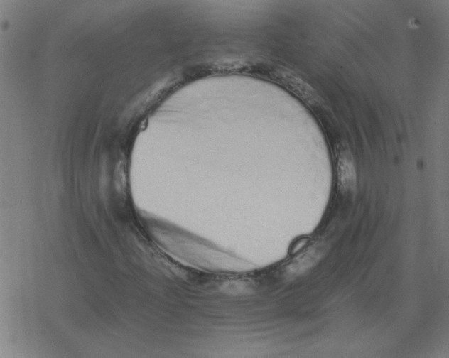 X0000077391204200611101746