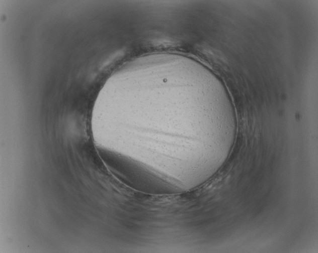 X0000077391205200611101746