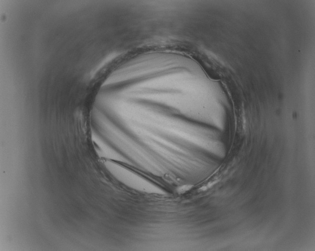 X0000077391206200611101746