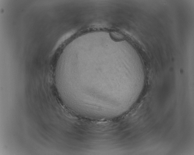 X0000077391207200611101746