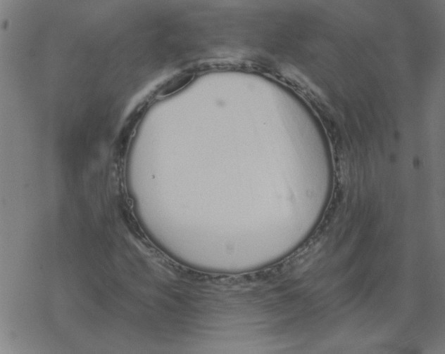 X0000077391208200611101746