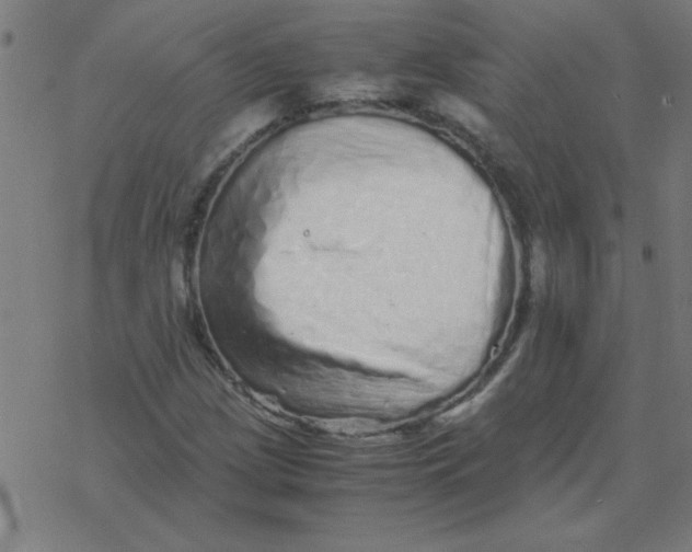 X0000077391209200611101746