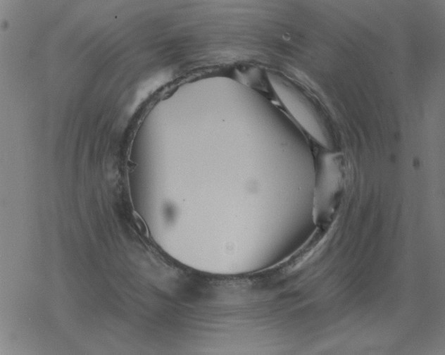 X0000077391210200611101746