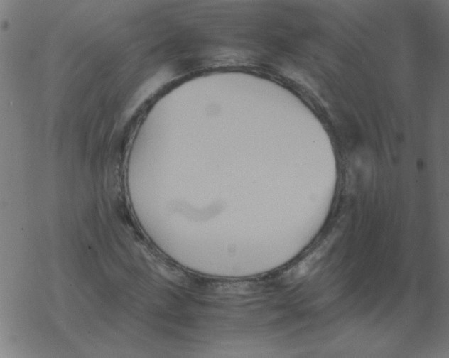 X0000077391211200611101746